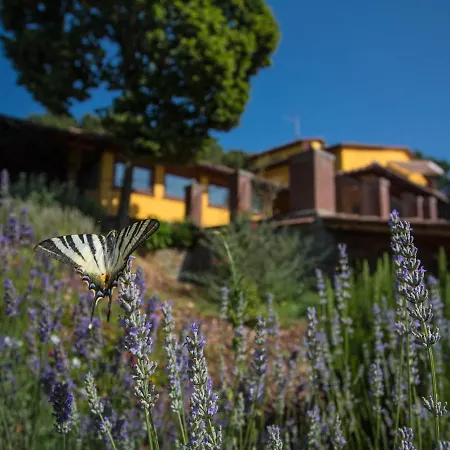 Colours And Scents From Tuscany Await You In This Wonderful *